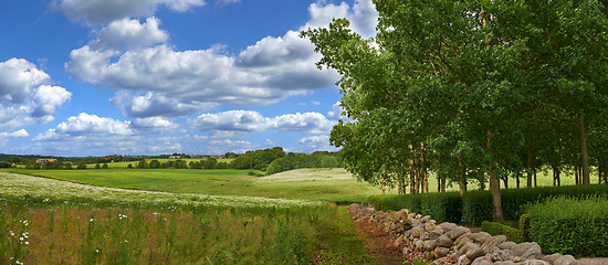 Image showing Sky, grass and environment with countryside trees, agro farming and plant growth in nature. Background, travel or landscape of meadow horizon, lawn or natural pasture for sustainable field or ecology
