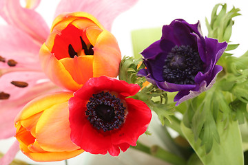 Image showing abstract flowers