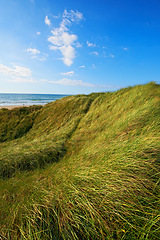 Image showing Sky, field and meadow with beach for flowers, sustainable agro farming and growth in nature environment. Background, travel and landscape of horizon, lawn or natural pasture for grass and ecology