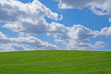 Image showing Blue sky, clouds and landscape in summer with sustainability, environment and zen in countryside. Field, nature and beauty with green grass for eco friendly, growth and horizon with lawn on earth