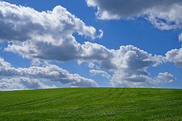 Image showing Meadow, landscape and blue sky with clouds for environment, sustainability and perspective in summer. Beauty, nature and field of green grass for eco friendly, growth and horizon of countryside