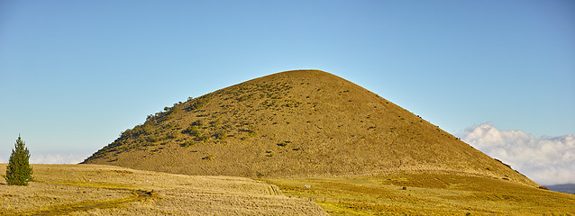 Image showing Dry, field and landscape of environment with hill or grass on Volcano, Mount Kea and nature in Hawaii. Mountain, countryside and travel in summer to hillside with blue sky, clouds and tree in bush
