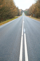 Image showing Road, trees and sky in Autumn with overcast weather for journey, travel and trip on highway in Germany. Environment, nature and street at countryside with nature, horizon and view of forest or woods