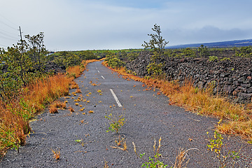 Image showing Road, landscape and volcano street in nature with lava rocks, plants and grass for travel, adventure and roadtrip. Dead end, deserted path and location in Hawaii with blue sky, roadway or environment