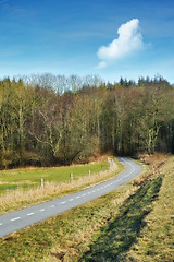 Image showing Road, landscape and forest with trees in countryside for travel, adventure and roadtrip with field in nature. Street, pathway and location in Amsterdam with tarmac, roadway or environment for tourism