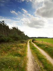Image showing Path, landscape and trees with sky in countryside for travel, adventure and roadtrip with forest in nature. Road, clouds and location in Amsterdam with journey, roadway and environment for tourism