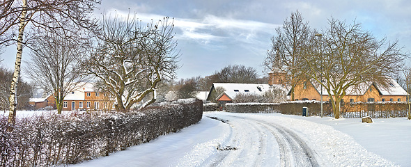 Image showing Road, snow and houses with trees in countryside for travel, adventure and ocean with winter in nature. Street, pathway and location in Denmark with direction, roadway or neighbourhood in environment