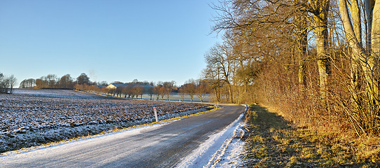 Image showing Road, landscape and trees with field in countryside for travel, adventure and roadtrip with snow in nature. Street, pathway and location in Denmark with tarmac, roadway and environment for direction