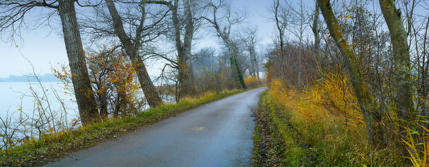 Image showing Road, landscape and trees by ocean in countryside for travel, adventure and roadtrip with autumn in nature. Street, pathway and location in Amsterdam with tarmac, roadway or environment for direction