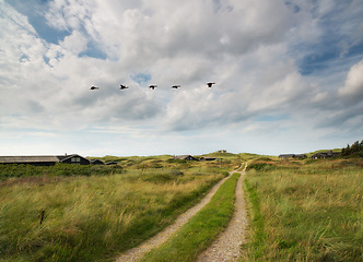Image showing Path, landscape and field with clouds in countryside for travel, adventure or roadtrip with birds in nature. Street, road and location in Amsterdam with journey, roadway and environment for tourism