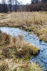 Image showing Nature, field and river with trees for environment, ecosystem and ecology in countryside. Natural background, landscape and stream, lake or water for scenic view, travel destination and terrain