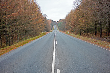 Image showing Street, trees and clouds in sky with overcast weather for trip, journey or travel on highway in fall. Environment, nature and street at countryside with nature, horizon and view of forest in Germany