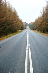 Image showing Autumn, trees and sky by highway with overcast weather for journey, trip and travel on road in Germany. Nature, environment and street at countryside with direction, horizon and view of woods