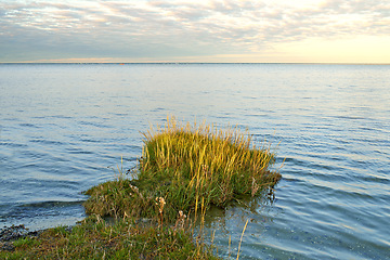 Image showing Lake, grass and coast with landscape, horizon and sky in environment with sunshine in Jutland. Water, sea or field with clouds, sustainability or ecology for earth in summer at countryside in Denmark