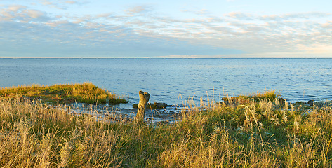 Image showing Lake, grass and landscape with sky in horizon, field and environment with sunshine in Jutland. Water, sea or dam with clouds, sustainability and ecology for earth in summer at countryside in Denmark