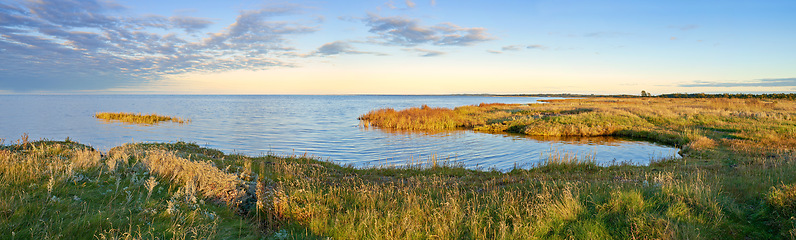 Image showing Lake, grass and nature with landscape, horizon or sky in environment with sunshine in Jutland. Water, sea or field with clouds, sustainability or ecology for earth in summer at countryside in Denmark