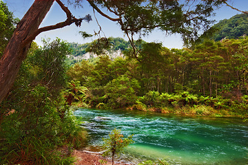 Image showing Nature, landscape and river with trees for environment, ecosystem and ecology outdoors. Natural background, forest and aerial of water for scenic view, travel destination and terrain in countryside