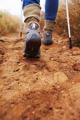 Image showing Hiking, feet and walking with trekking pole in a bush path or forest trail for exercise, workout and fitness on winter morning. Adventure, person and hiker in nature with shoes on holiday and travel