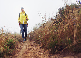 Image showing Hiking, woman and fitness with trekking pole in a bush path or forest trail for exercise, workout or walking on winter morning. Adventure, person or hiker in nature with backpack on holiday or travel