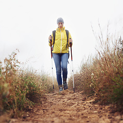 Image showing Hiking, woman and walking with trekking pole in a bush path or forest trail for exercise, workout or fitness on winter morning. Adventure, person or hiker in nature with backpack on holiday or travel