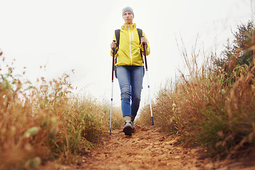 Image showing Hiking, woman and exercise with trekking pole in a bush path or forest trail for walking, workout or fitness on winter morning. Adventure, person or hiker in nature with backpack on holiday or travel