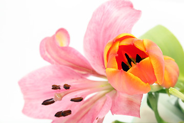 Image showing tulip and lily flowers