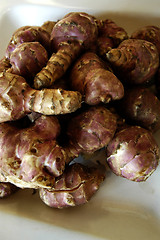 Image showing Jerusalem Artichoke