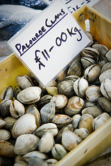 Image showing Clams in a box