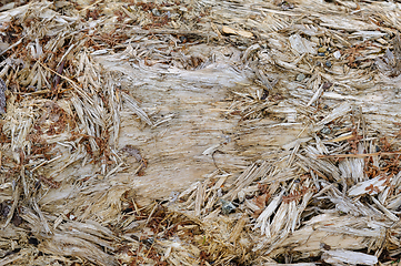 Image showing Close-up view of weathered wooden texture on an old log surface