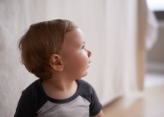 Image showing Cute, innocent and happy baby on floor in home with curiosity, wonder and playing in living room. Toddler, crawling and learning for growth and development and healthy child for sensory fun in house