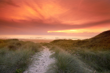 Image showing Sunset, grass and pathway to ocean or beach, nature and sand in road. Sea, landscape and environment for walking in summer evening, travel and destination for relax or peace with scenery sky