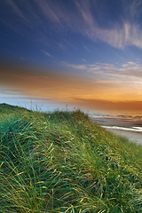 Image showing Dune grass, sunset and beach in landscape, nature and environment for outdoor. Ocean, water and clouds in blue sky with scenic view evening, sand and waves or shoreline or seaside in summer or winter