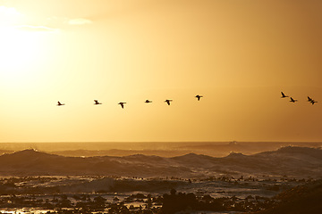 Image showing Sunrise landscape, waves and birds flying over ocean rocks, clouds and golden sky in beach. Morning, scenic view and sunshine in island or sea with stones, summer or winter and environment for peace