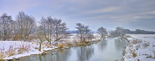 Image showing Forest, snow and landscape with trees and river, nature and cold weather with horizon for scenic view. Ice, frozen and natural background for travel or tourism, location or destination in Alaska