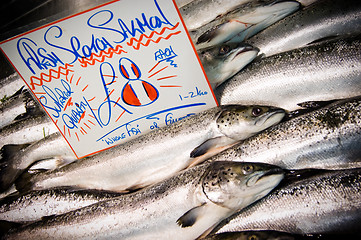 Image showing Selection of fresh Scotish Salmon