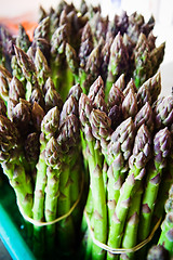 Image showing Bunch of Asparagus 