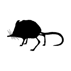 Image showing Spiny Pocket Mice Silhouette