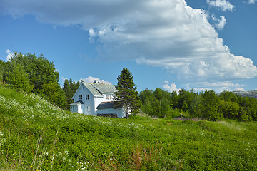 Image showing House, bush in village or countryside landscape, travel and adventure location with nature and buildings. Farm, real estate and property with architecture for holiday in Norway with trees and green