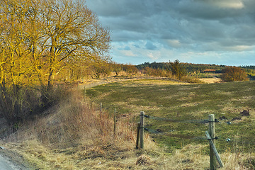 Image showing Autumn, nature or field and landscape in countryside with tree, cloudy sky or mountain environment in Denmark. Agriculture, land or woods for sustainability, scenery or location on grass for ecology