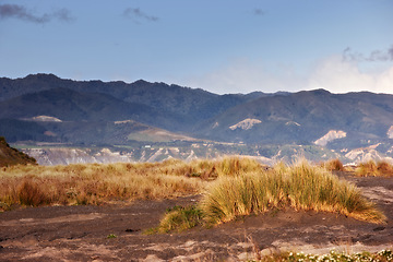 Image showing Wilderness, nature or hill on landscape in countryside on field, grass or mountain environment in New Zealand. Agriculture, land or sky for sustainability, scenery or location on foliage for ecology