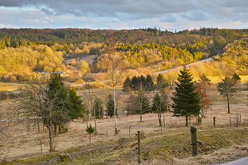 Image showing Land, nature and trees with landscape in countryside with field, sky and mountain environment in Denmark. Agriculture, forest and woods for sustainability, scenery and location on grass for ecology