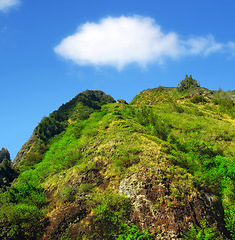 Image showing Mountain, forest and natural landscape with blue sky, summer and calm clouds on peak at travel location. Nature, cliff and sustainable environment with earth, Hawaii and tropical holiday destination