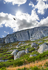 Image showing Mountain, sun and natural landscape with cloudy sky, bird in flight and summer peak at travel location. Nature, cliff and sustainable environment with earth, rocks and bush at holiday destination