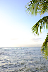 Image showing Blue sky, nature and drone of sea on island for travel, vacation or holiday with skyline and seascape. Outdoor, water and aerial view of ocean by tropical beach for scenic summer weekend trip.