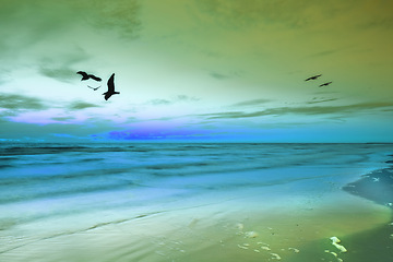 Image showing Sunset, sky and birds by ocean on beach with scenery for travel, vacation or holiday destination. Seascape, dawn and avian flying by sea on tropical island in evening for summer weekend trip.