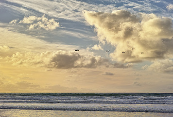 Image showing Beach, ocean and blue sky with line of birds, clouds and water on shoreline with sunshine. Waves, sunrise and dawn in seaside San Diego, coastal migration or moving of animals and horizon in nature