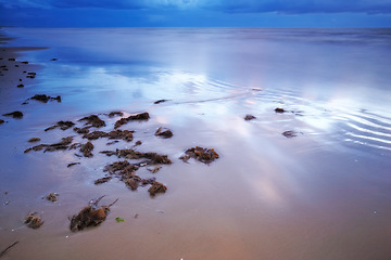 Image showing Beach, sand and skyline with landscape of coast, nature and tropical island for summer vacation or holiday. Environment, location and horizon with no people, earth and shoreline for peace or view