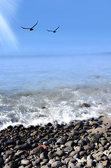 Image showing Birds, landscape and rocks by ocean in nature for travel destination, holiday and vacation. Natural background, summer and waves, sea and water for scenic view in environment, ecosystem and horizon