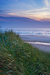 Image showing Grass, sunset and ocean by beach in nature for travel, vacation or holiday destination. Outdoor, lawn and plants by sea waves at outdoor tropical island for summer weekend trip by coast in evening.