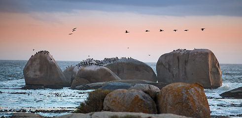 Image showing Nature, birds in sky and rocks in ocean for travel destination, holiday and vacation. Natural background, summer and waves, sea and water for scenic view in environment, ecosystem or tropical horizon